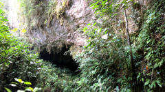 Entrance of St.Herman's Cave